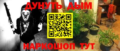 шишки Балашиха