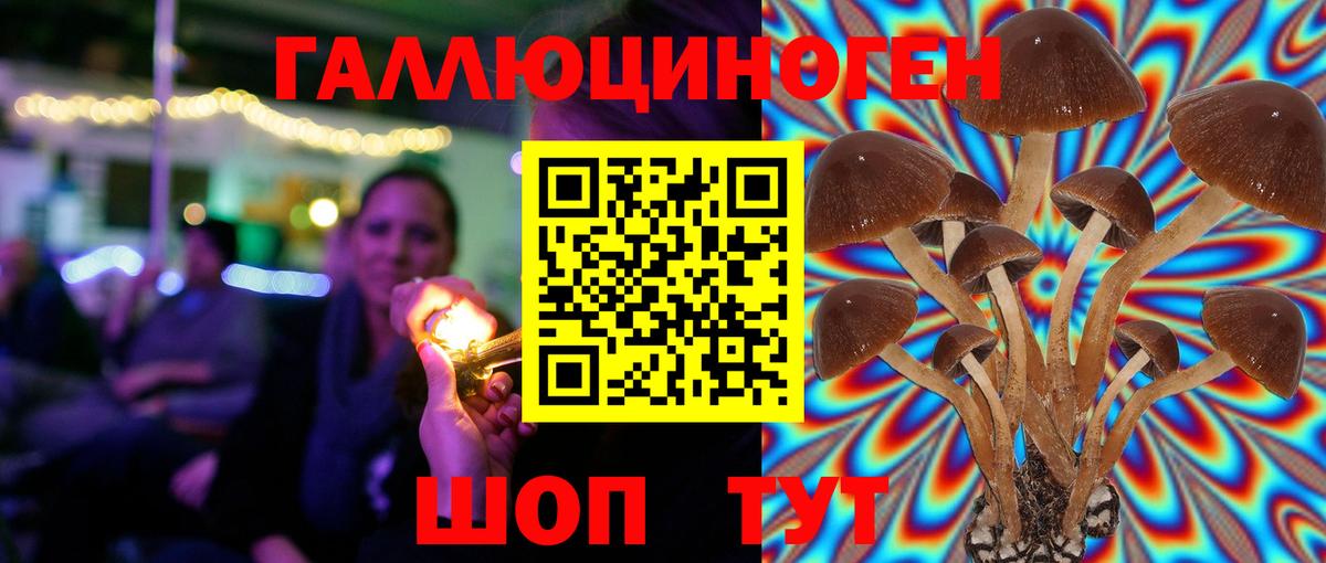 Псилоцибиновые грибы Psilocybine cubensis  Псилоцибиновые грибы ЛСД  Гагарин  Вход с VPN 